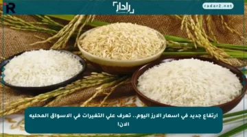 ارتفاع جديد في أسعار الأرز اليوم.. تعرف على التغيرات في الأسواق المحلية الآن!